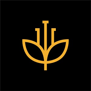 BeeRoots Raw Organic Honey